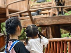 -长鹿旅游休博园
