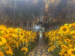 -The Grounds of Alexandria