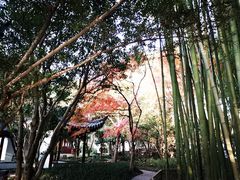 -汇龙潭