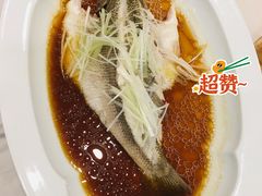 清蒸鲈鱼-鸭匠食府·挂炉烤鸭·新京菜(阜成路店)