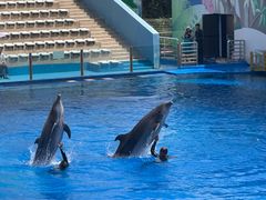 -北戴河圣蓝海洋公园