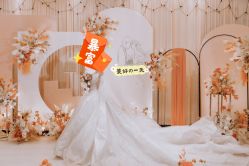 -派丽莫Pellimo原创设计婚纱品牌