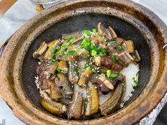 -红星光发煲仔饭(大石街店)