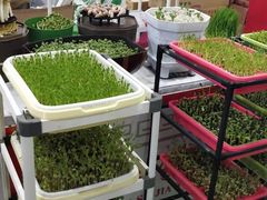 -沈阳国际会展中心管理有限公司