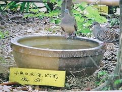 -学习谷日语培训日本留学·多语种外语教学(海淀人大分部)