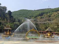 -西双版纳原始森林公园