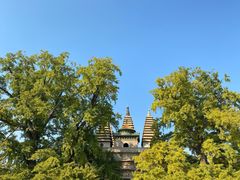 -北京石刻艺术博物馆(五塔寺)