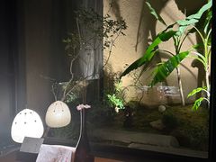 -觀芷隐轩