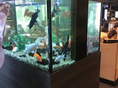 -大家乐(东莞虎门店)