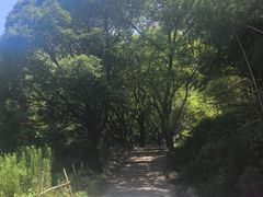-白水冲瀑布