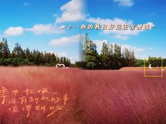 -嘉北郊野公园