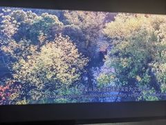 -中国湿地博物馆