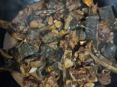 -柘林湖生态鱼馆