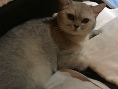 -金港养生休闲会所