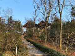 -南京老山国家森林公园