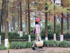 -重庆彩云湖湿地公园