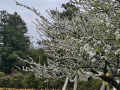 -名花谷生态庄园