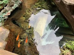 -长鹿旅游休博园