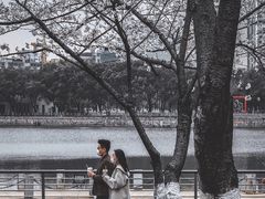 -西北湖绿化广场