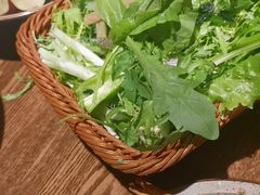 -鸽子窝(青塔店)
