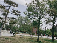 -晋祠公园