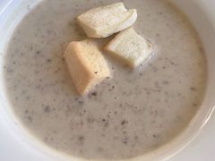 -OLD TREE老树咖啡·西餐厅(台山人工湖店)