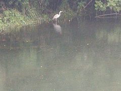 -新江湾城公园