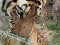 -西安秦岭野生动物园