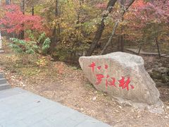 -本溪老边沟风景区