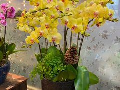 -双季花艺园艺市场(浦东店)