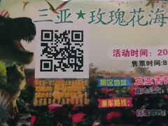 -亚龙湾国际玫瑰谷