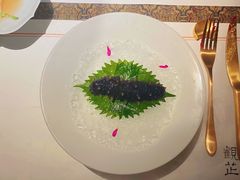 酒炙海参-觀芷隐轩
