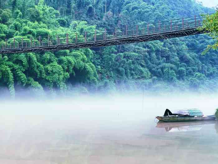 嘉阳·桫椤湖旅游景区-"四川犍为县有个很大的桫椤湖 乘快艇半小时.