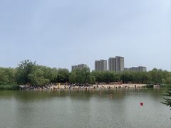 -大兴滨河森林公园