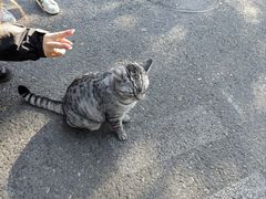 -北京国子监胡同