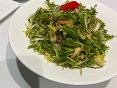 -海派美食·家宴海鲜青岛菜·石锅鲽鱼头(东方城店)