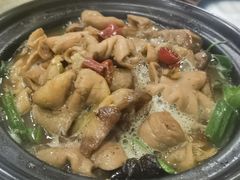 大肠煲-红灯笼龙凤饭店(宁波老字号店)