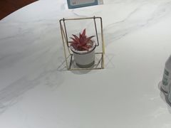 -新海渔港·胶东海鲜家常菜·家宴(奥体中心店)