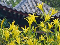 -丰台花园