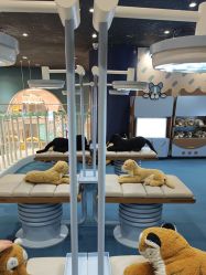 -奈尔宝家庭中心·亲子餐厅(鄞州万达店)