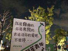 -金沙湖公园