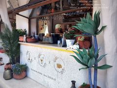 -Sirena海妖日咖夜酒