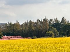 -嘉北郊野公园
