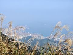 -梧桐山风景名胜区