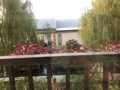 -南宫温泉水世界