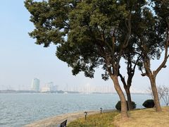 -无锡蠡湖国家湿地公园-蠡园