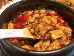 -陈麻婆豆腐总店
