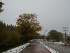 -五营红松林海景区