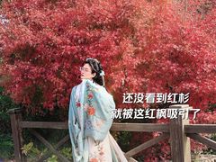 -上海海湾国家森林公园