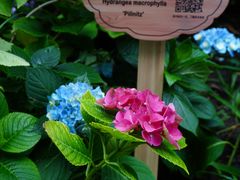 -常州古运河南大街文化旅游区-人民公园